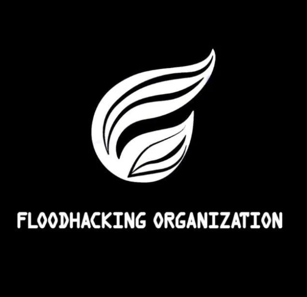 File:FloodHacking.png